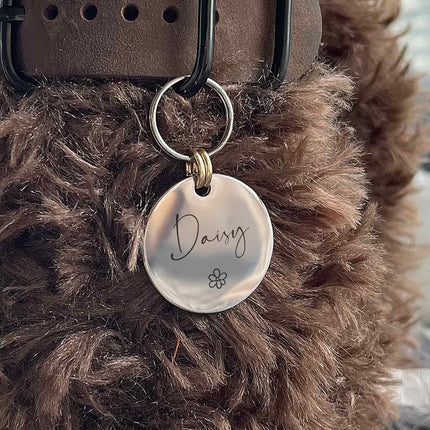 007 Cats Dog Id Tag Personalized Engraved For Small Puppy Pets Collar