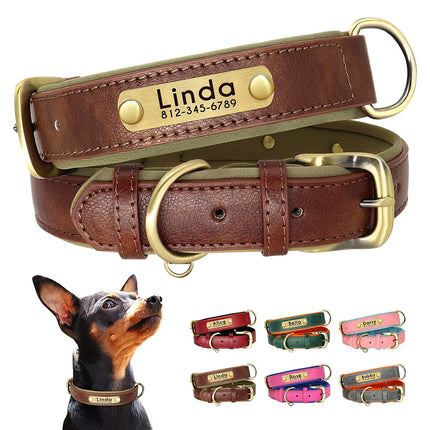 Custom Leather Dog Collar Soft Padded Dog Collars Personalized Pet ID