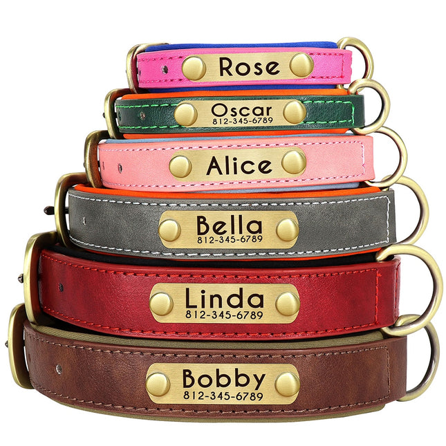 Custom Leather Dog Collar Soft Padded Dog Collars Personalized Pet ID