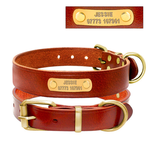 Personalized Dog ID Collar Genuine Leather Small Medium Dogs Cat