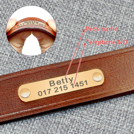 Personalized Dog ID Collar Genuine Leather Small Medium Dogs Cat