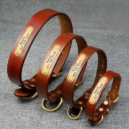 Personalized Dog ID Collar Genuine Leather Small Medium Dogs Cat