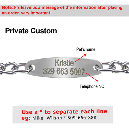 Personalized Pet Dog Chain Choke Collar Pets Training Engraved ID Slip