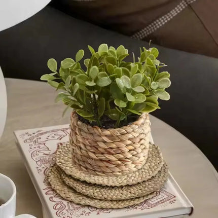Potted Plant Small Fake Plants Indoor Home Decor Decorative Pot for