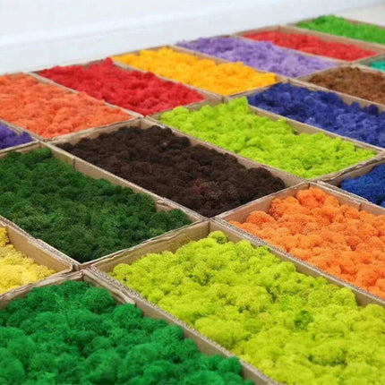 Artificial Green Plants Mini Landscape Eternal Life Moss Grass Fake
