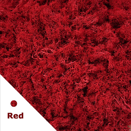 Artificial Green Plants Mini Landscape Eternal Life Moss Grass Fake