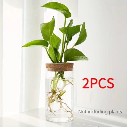 1pc, Hydroponics Plants Desktop Glass Planter Vase For Home