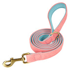 XS / Pink Leash