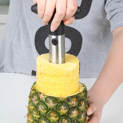 Pineapple Slicer Peeler Cutter Parer Knife Stainless Steel Kitchen