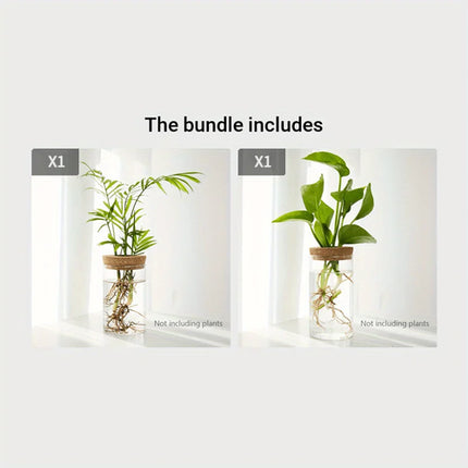 1pc, Hydroponics Plants Desktop Glass Planter Vase For Home