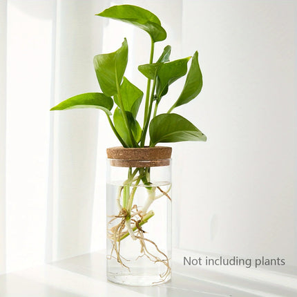 1pc, Hydroponics Plants Desktop Glass Planter Vase For Home