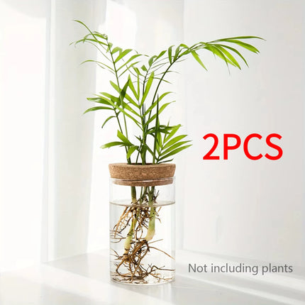 1pc, Hydroponics Plants Desktop Glass Planter Vase For Home