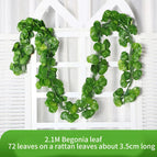 72leaves-E