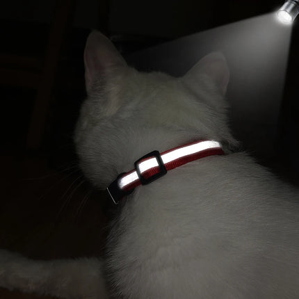 Customized Cat Collar Reflective Cat Collar Free Engraved Puppy Kitten