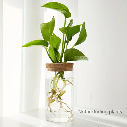 1pc, Hydroponics Plants Desktop Glass Planter Vase For Home