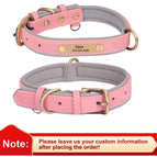 XS / Pink Collar