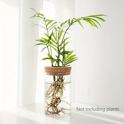 1pc, Hydroponics Plants Desktop Glass Planter Vase For Home