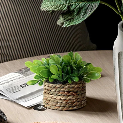 Potted Plant Small Fake Plants Indoor Home Decor Decorative Pot for