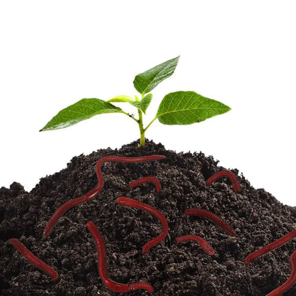 10Pcs Simulated Insects Earthworms Soft Rubber Toy Floor Dragons Props