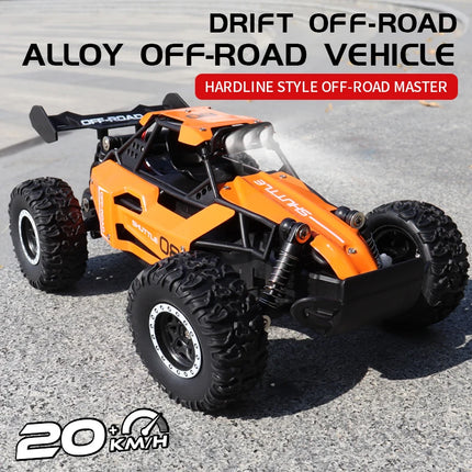 ZWN 1:16/1:20 2.4G Model RC Car With LED Light 2WD Off-road Remote