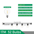 EU plug 220V / 17M 50 Bulb