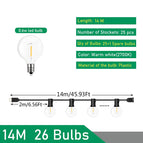 EU plug 220V / 14M 25 Bulb