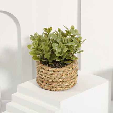 Potted Plant Small Fake Plants Indoor Home Decor Decorative Pot for