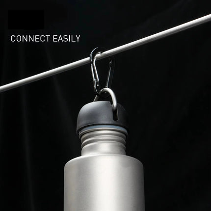 6pcs Carabiner Clip Aluminum Alloy Keychain Lock Buckle Snap D-Ring