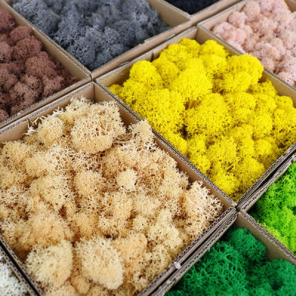 Artificial Green Plants Mini Landscape Eternal Life Moss Grass Fake