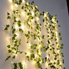 2M 20LEDS / Ivy Vines