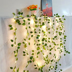 5M 50LEDs / Watermelon leaves