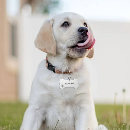 Personalized Engraved High Quality Dog Cat Tags with Name and Phone