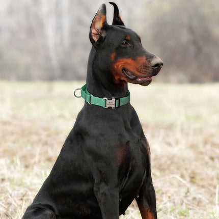 Custom Dog Martingale Collar Nylon Reflective Dog Collars With