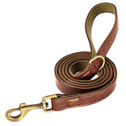 XS / Brown Leash
