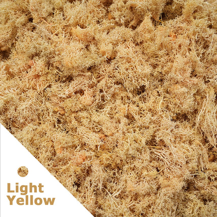 Artificial Green Plants Mini Landscape Eternal Life Moss Grass Fake