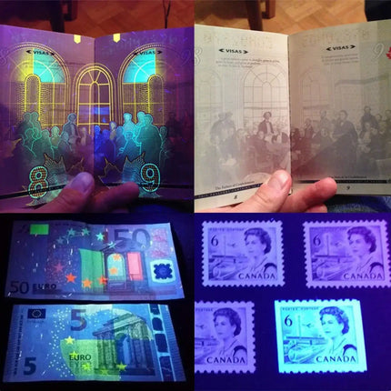 12/21/51 LED Protable UV Flashlight Black Light Ultraviolet Torch