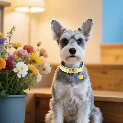 Custom Bling Nylon Dog Collar Free Engraved Puppy Dog ID Name Collars