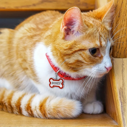 1PC Custom Engraved Name Dog Tag for Pets Personalized Zinc Alloy