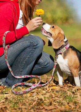 Personalized Printed Dog Collar Leash Set Customized Nylon Pet Collar