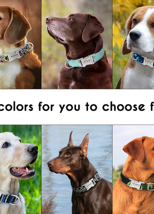 Dog Collar Personalized Nylon Pet Dog Tag Collar Custom Puppy Cat