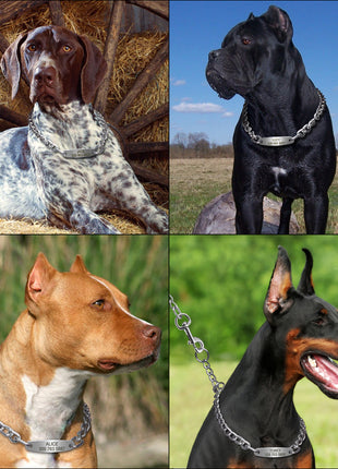 Personalized Pet Dog Chain Choke Collar Pets Training Engraved ID Slip