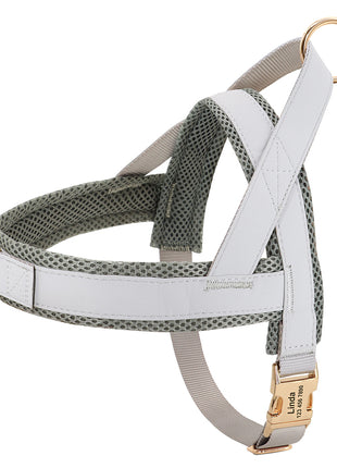 Personalized Dog Harness No Pull Dog Harnesses Adjustable Pet Walking