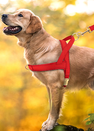 Personalized Dog Harness No Pull Dog Harnesses Adjustable Pet Walking
