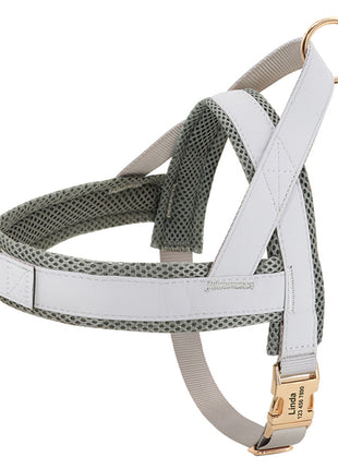 Personalized Dog Harness No Pull Dog Harnesses Adjustable Pet Walking