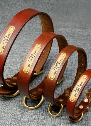 Personalized Dog ID Collar Genuine Leather Small Medium Dogs Cat