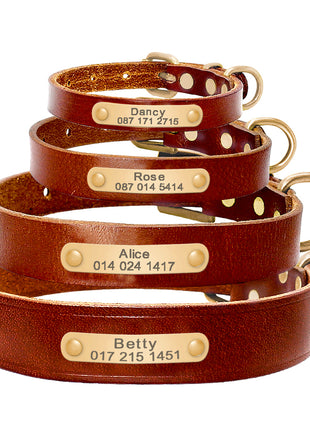 Personalized Dog ID Collar Genuine Leather Small Medium Dogs Cat