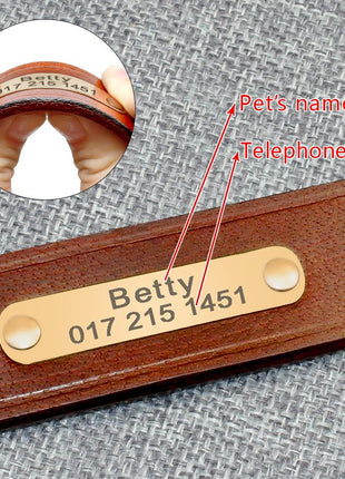 Personalized Dog ID Collar Genuine Leather Small Medium Dogs Cat
