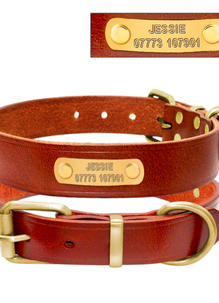 Personalized Dog ID Collar Genuine Leather Small Medium Dogs Cat