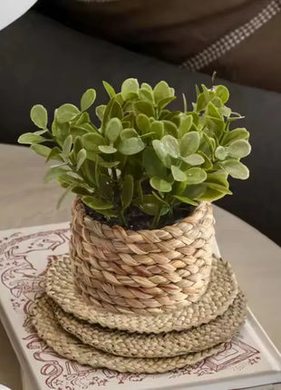 Potted Plant Small Fake Plants Indoor Home Decor Decorative Pot for