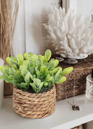 Potted Plant Small Fake Plants Indoor Home Decor Decorative Pot for